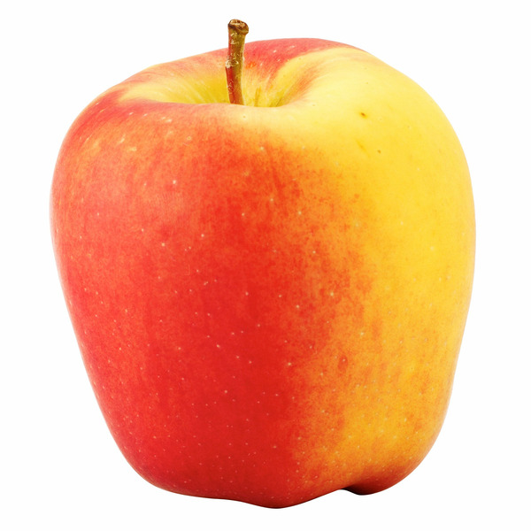 Ambrosia Apple