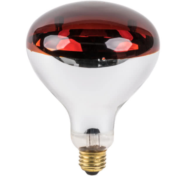 Heat Lamp Bulb, Red - 250 Watt