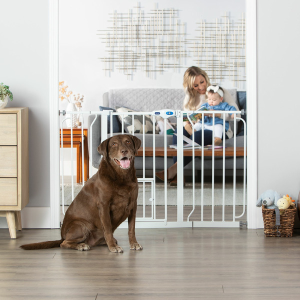 Top Paw Extra Wide Walk-Through Pet Gate with Pet Door