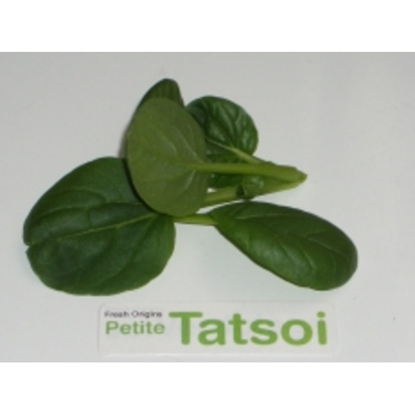 Petite Tatsoi - 8 oz