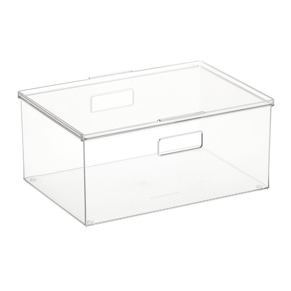 Everything Organizer Clear Box With Lid