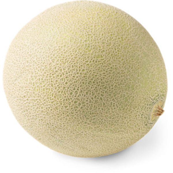 SunFed Cantaloupe Melon