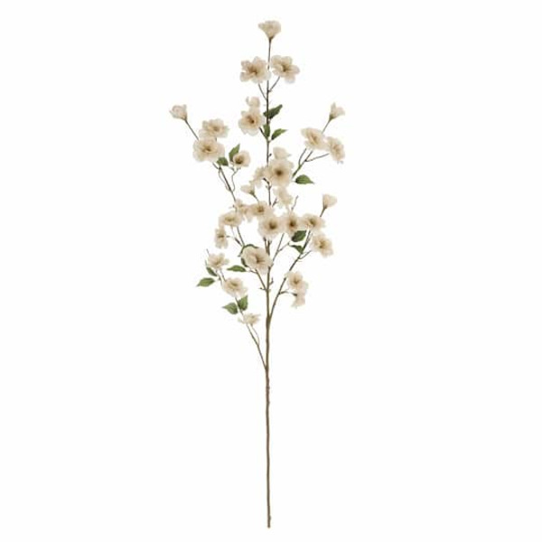 Ashland Flowering Blossom Stem