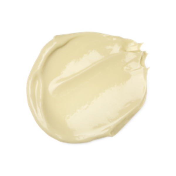 Dream Cream Body Lotion