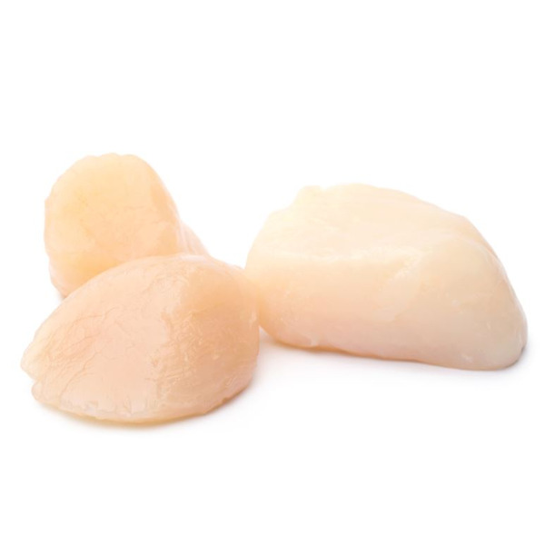 Frozen Scallops - 10/20 ct, Processed - 5 lbs