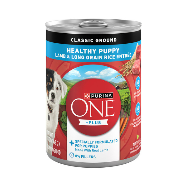 Target Purina ONE Plus Wet Puppy Food Classic Ground Healthy Puppy Lamb and  Long Grain Rice Entree Same-Day Delivery | Instacart