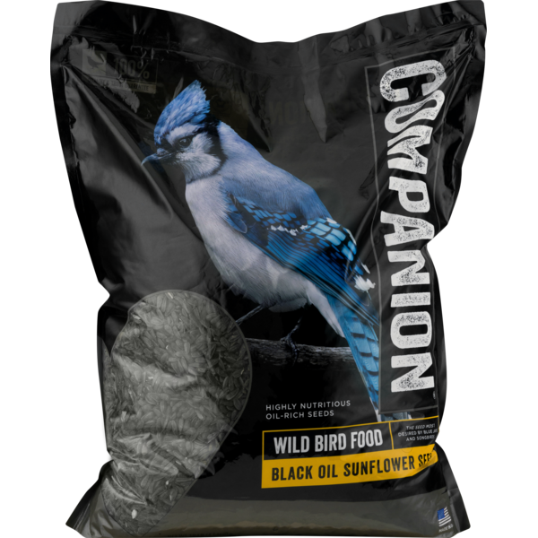 Companion Black Oil Sunflower Seeds Wild Bird Food (10 lb) Instacart