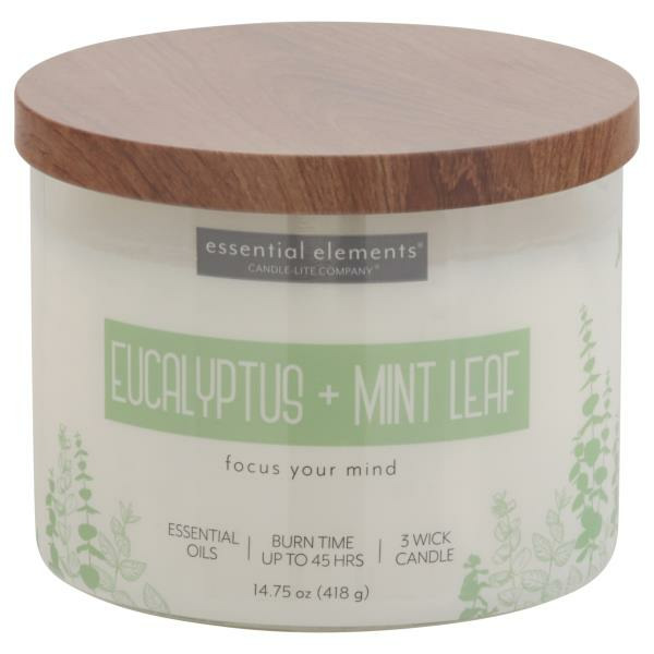Publix Candlelite Candle, Eucalyptus + Mint Leaf, 3 Wick SameDay
