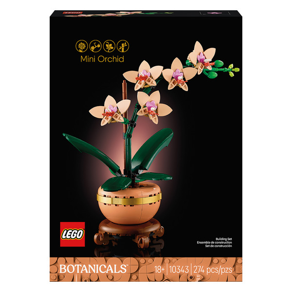 botanicalさま Caulavola Colmanii (4