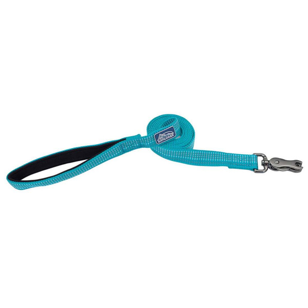 K9 Explorer 1" x 6' Woven Dog Leash