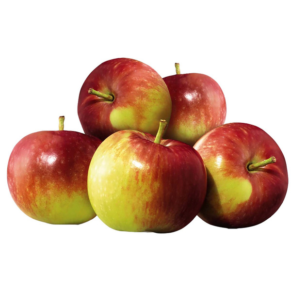Bag of Ambrosia Apples