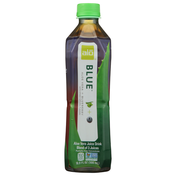 is aloe vera indoor plant Aloe Vera Plant for Sale | Shop Houseplants for Sale main image 1