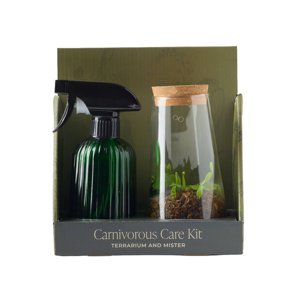 Live Trends Carnivorous Care Kit Ceramic Terrarium - Assorted