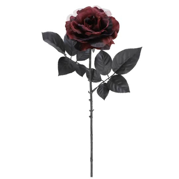 Ashland Burgundy & Black Rose Stem
