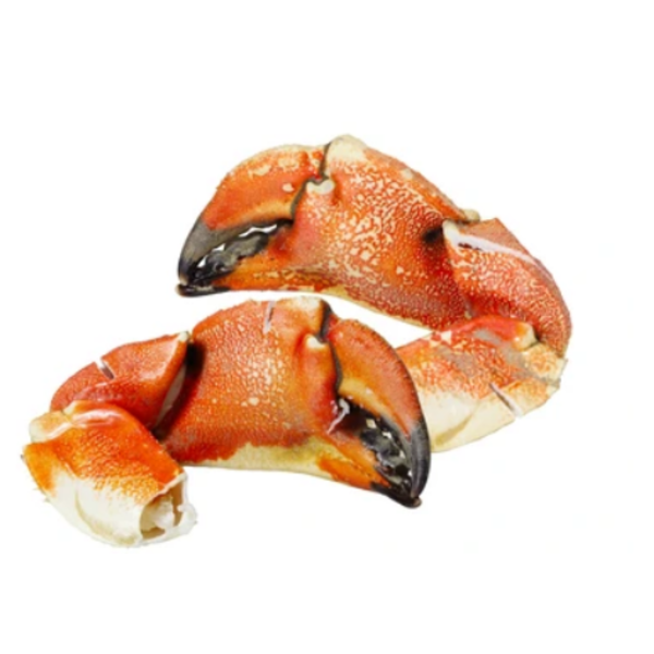 Large Stone Crab Claws - Wild, USA (Florida)