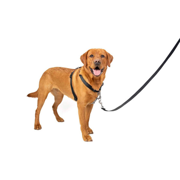 PetSafe 3 in 1 Harness, Large, Black