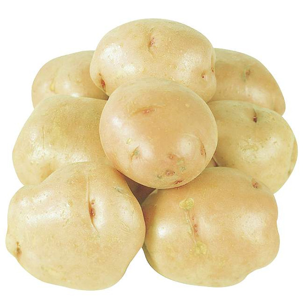 White Potatoes