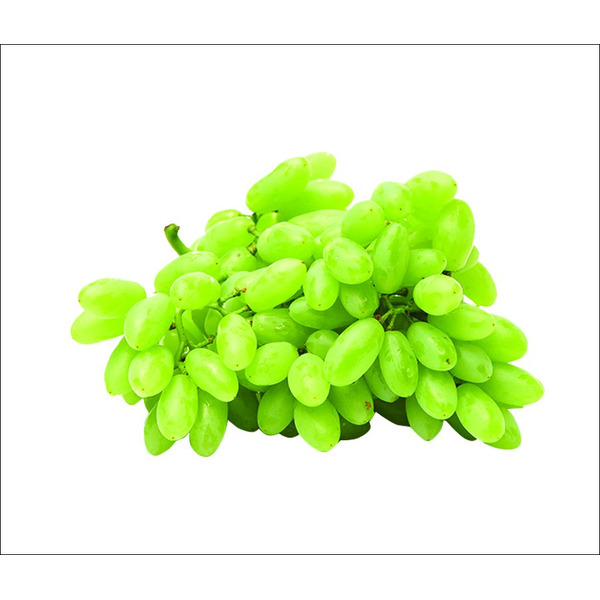 Green Seedless Grapes