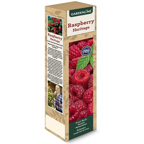 Gardenline Raspberry Bush Same-Day Delivery or Pickup | ALDI