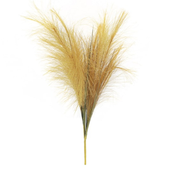 Ashland Pampas Grass Bush