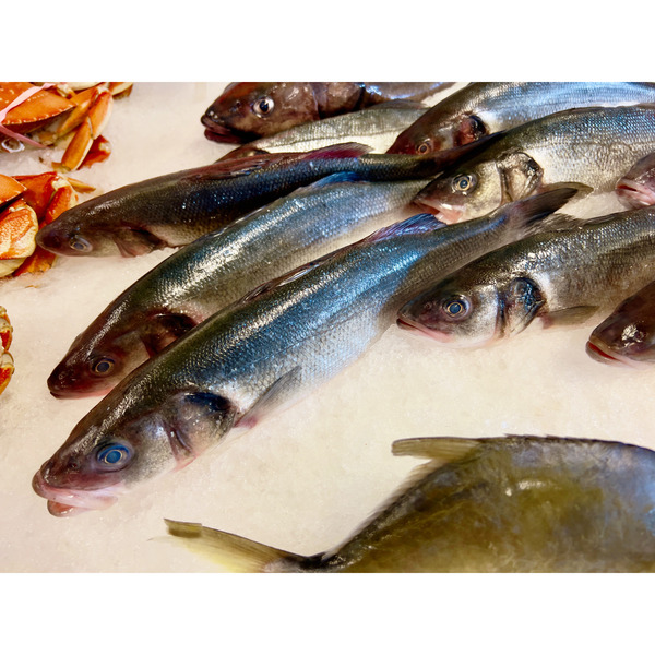 Whole Black Cod