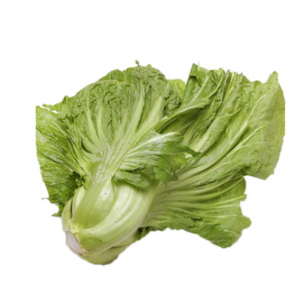 Cabbage Gai Choy Mustard