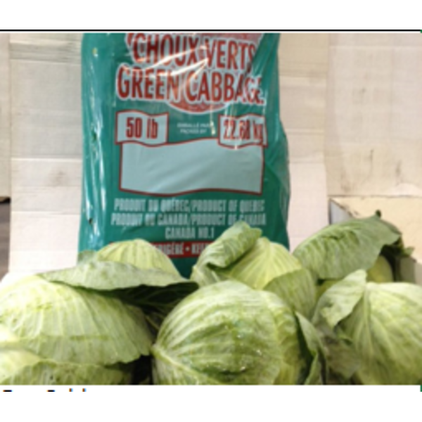 Green Cabbage - 50 lbs