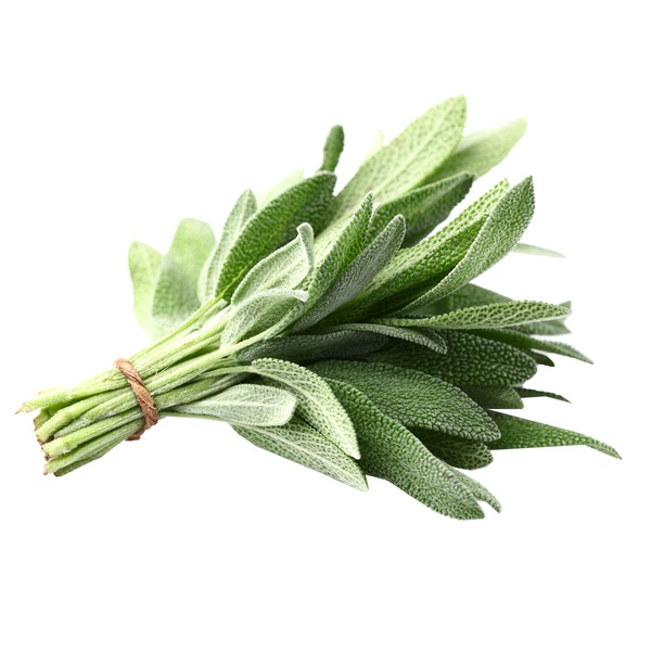 Fresh Herbs Sage, Package