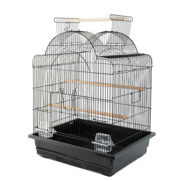 All Living Things Open-Air Bird Cage