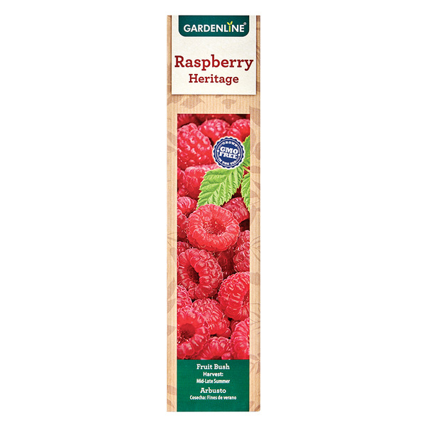 Gardenline Raspberry Bush Same-Day Delivery or Pickup | ALDI
