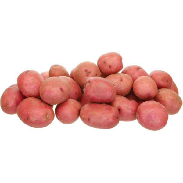 Organic Red Potato Bag