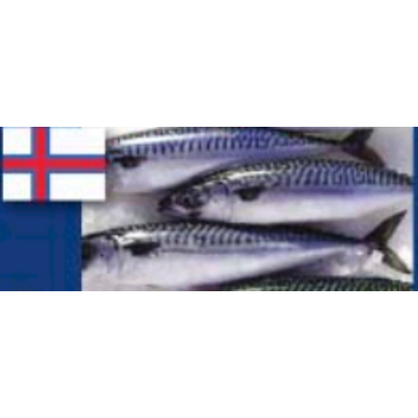 Frozen Icelandic - Whole Mackerel, 500 grams +