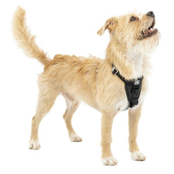 Kurgo Tru-Fit Smart Harness, Enhanced Strength, Black, S