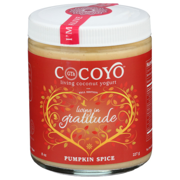 Gt's Cocoyo Cacao CocoKefir Same-Day Delivery or Pickup