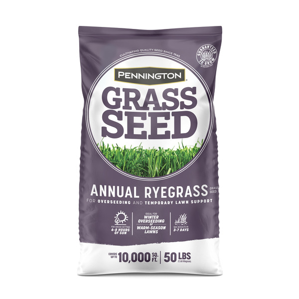 Pennington 50-lb Annual Ryegrass Grass Seed