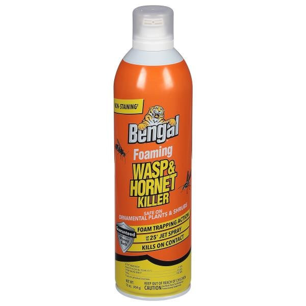 Bengal Wasp & Hornet Killer, Foaming Same-Day Delivery or Pickup