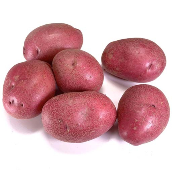 Red Potato