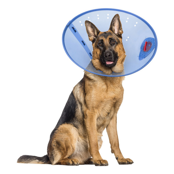 Calm Paws Behavior Support Calming E-Collar - Blue