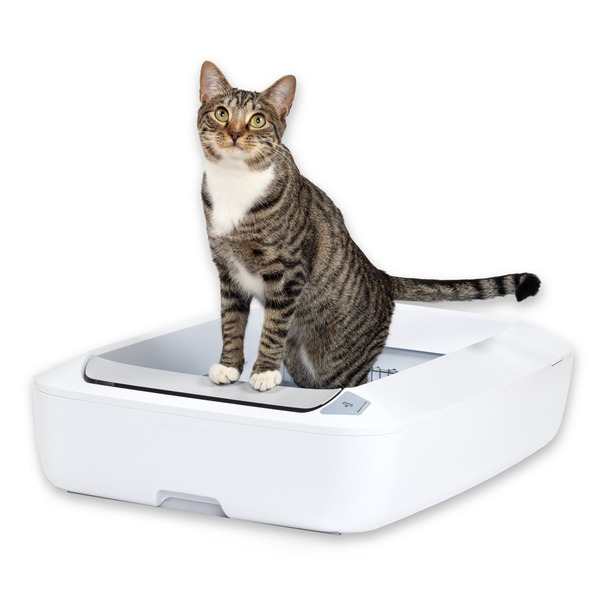 PetSafe ScoopFree® Crystal Plus Self-Cleaning Litter Box