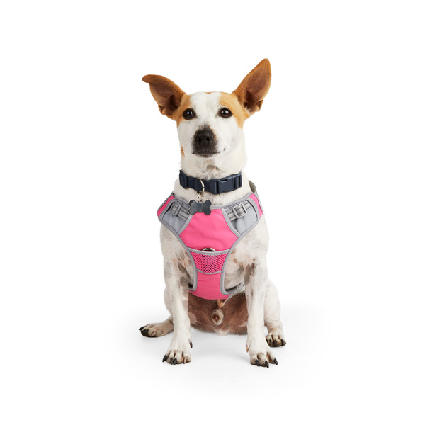 Every Yay Embrace the Pace Reflective Dog Harness -  Pink - Medium