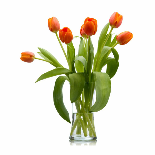 Lexiflor Tulip Bunch Same-Day Delivery or Pickup | The Fresh Market