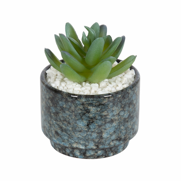 Walmart Mainstays Artificial Crassula Ovata Succulent Plant in Ceramic Pot  - Teal Same-Day Delivery | Instacart
