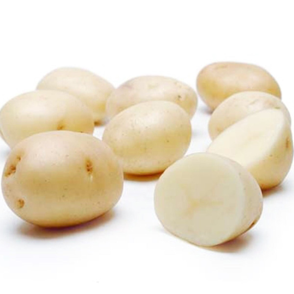 White Potato