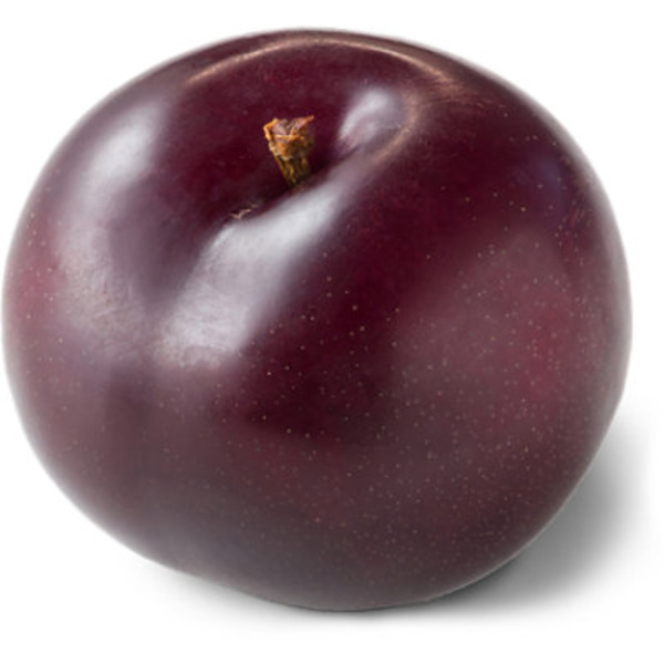 Pacific Trellis Fruit Plums Prunes
