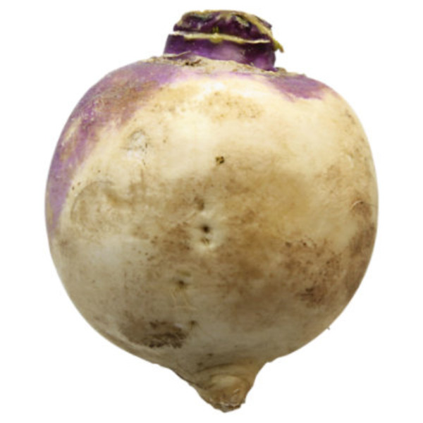 Star Promotions Purple Top White Globe Organic Turnip Seed