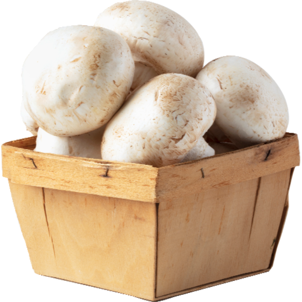 Champs Organic Whole White Mushrooms