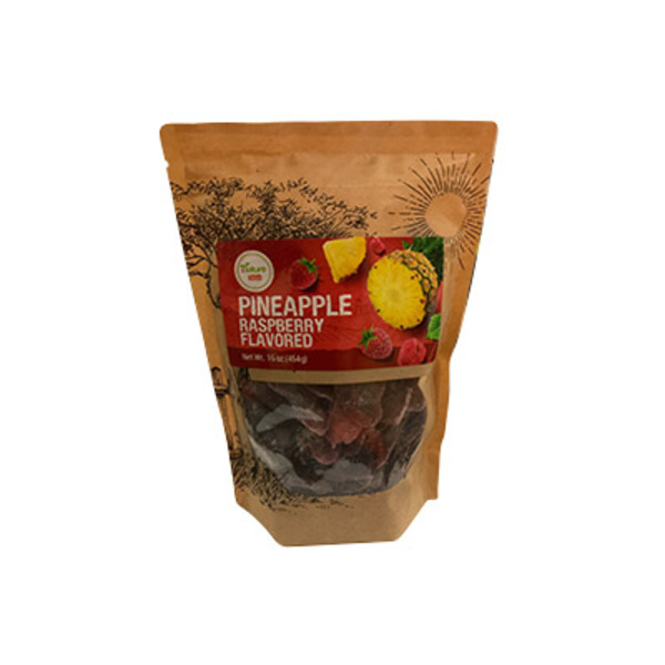 Nature to Go Pineapple & Raspberry Flavored Dried Fruit Snacks