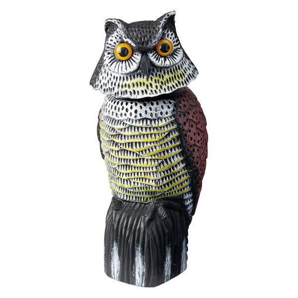 邦楽 OwL 邦楽 OwL OwL – Official Web site