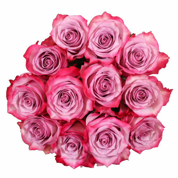Cb Regular Roses Same-Day Delivery or Pickup | The Fresh Market