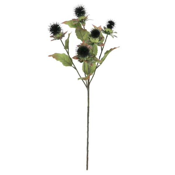 Ashland Blue Thistle Stem